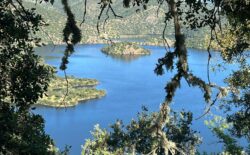 CÓMO ORGANIZAR UNA ESCAPADA RURAL PERFECTA