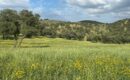 ¿Que diferencia hay entre HOTEL rural y CASA rural?